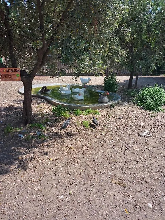 Nice Parc Phoenix Apartment Homestay