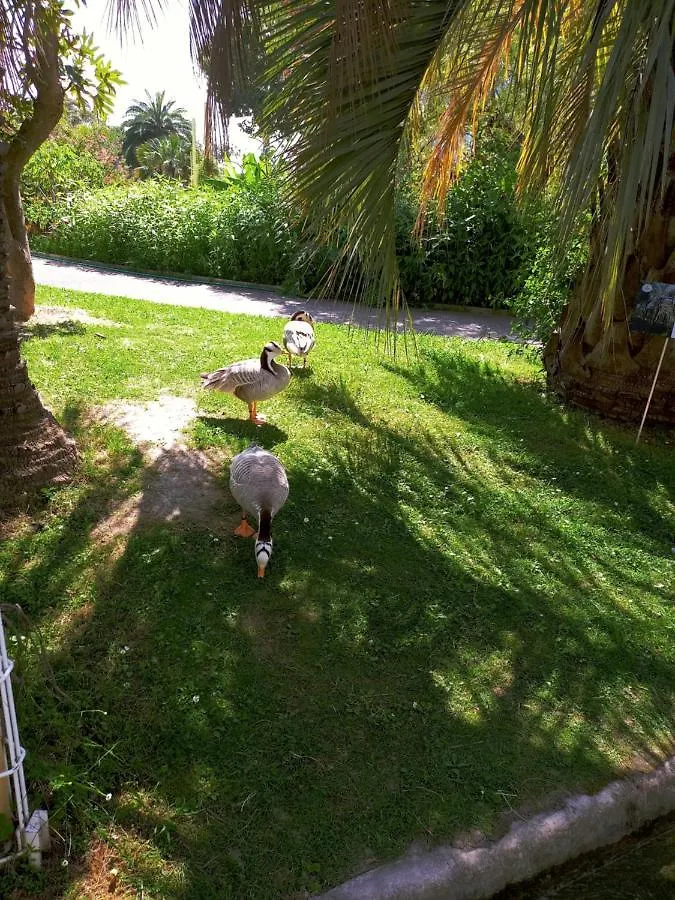 Homestay Nice Parc Phoenix Apartment